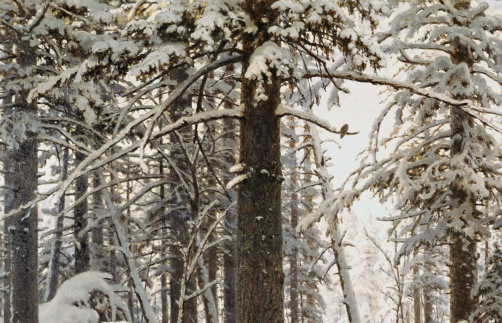 Как написать сочинение по картине Шишкина «Зима в лесу»: планы для учеников 3 класса (2 варианта)